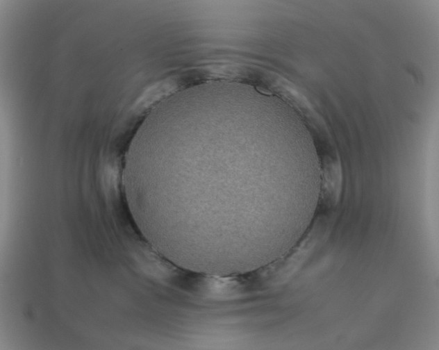 X0000113240333200910011331