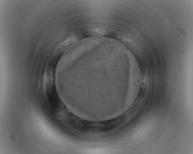 X0000113240334200910011331