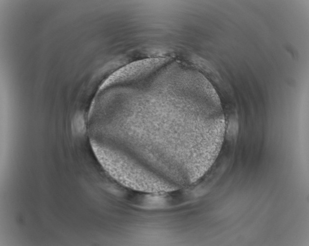 X0000113240335200910011331