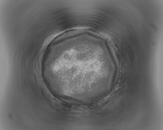 X0000113240337200910011330