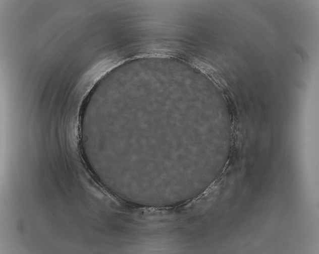 X0000113240338200910011330