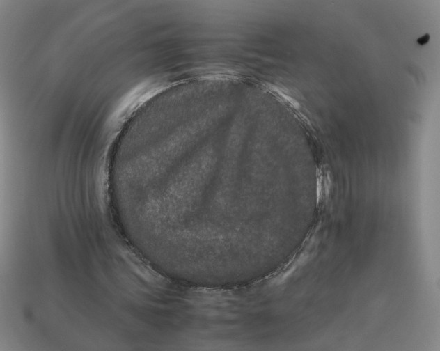 X0000113240339200910011330