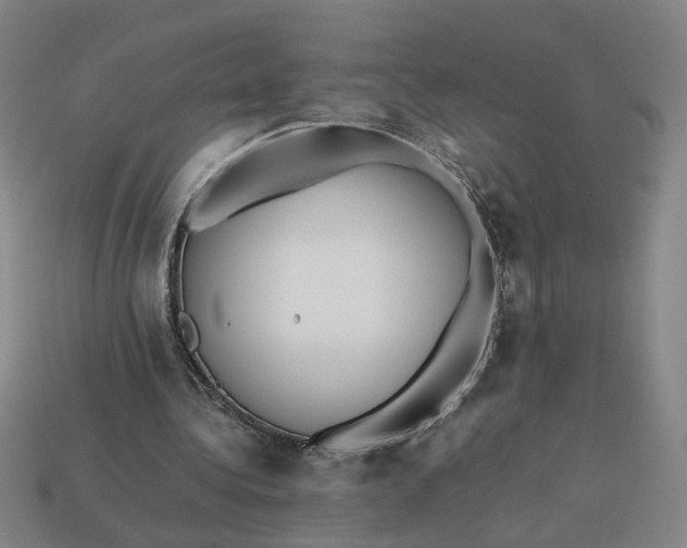 X0000113240340200910011330