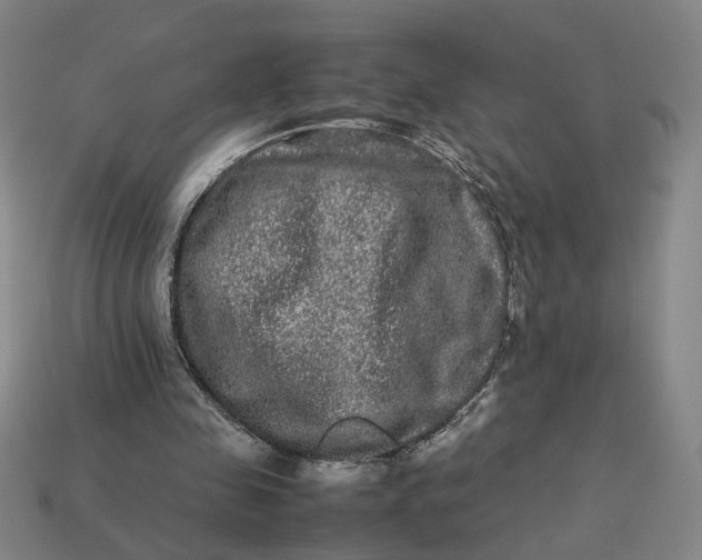 X0000113240341200910011330