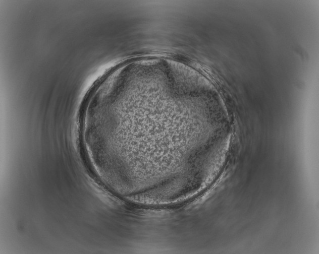 X0000113240342200910011330