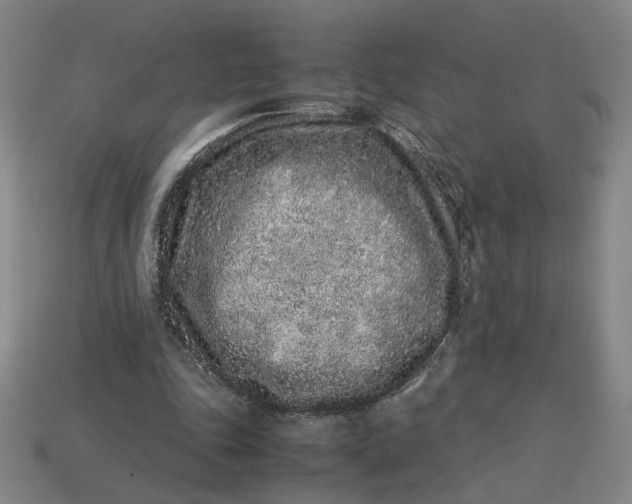 X0000113240343200910011330