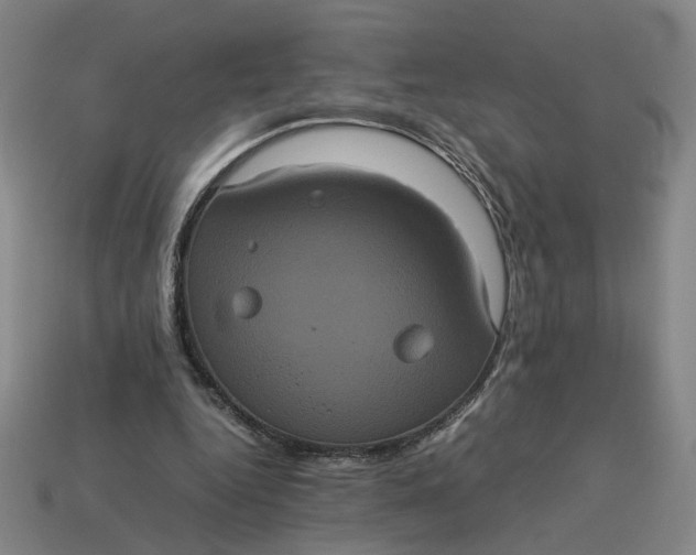 X0000113240344200910011330