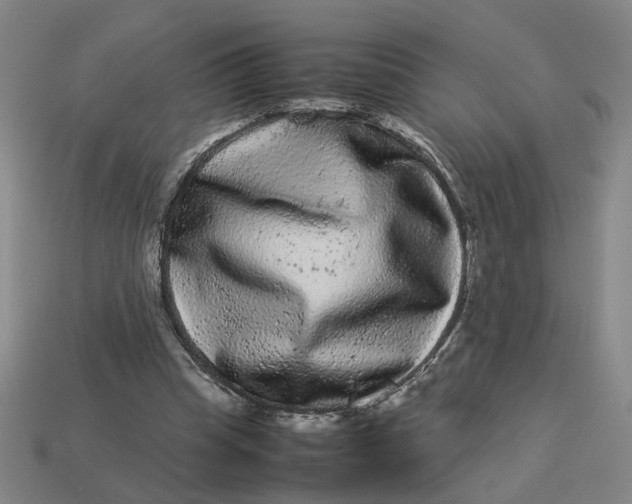 X0000113240345200910011330