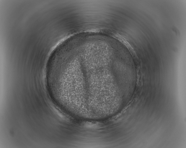 X0000113240346200910011330