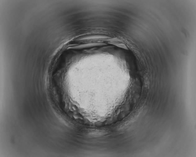 X0000113240347200910011330