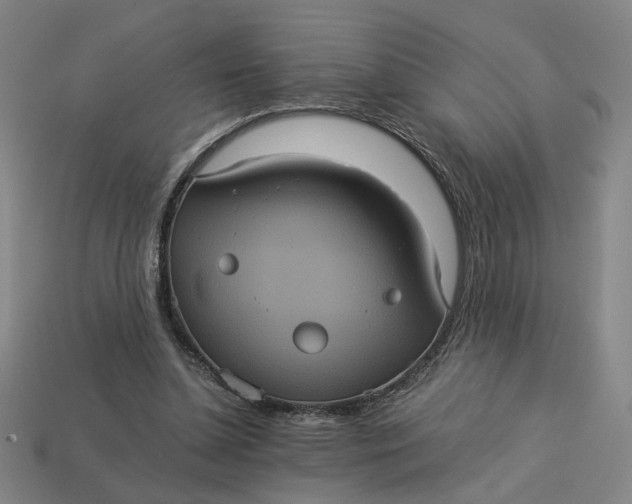 X0000113240348200910011330