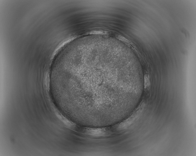 X0000113240349200910011330