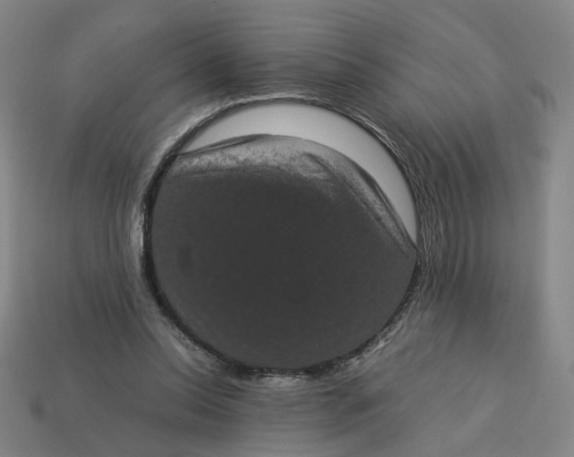 X0000113240350200910011330