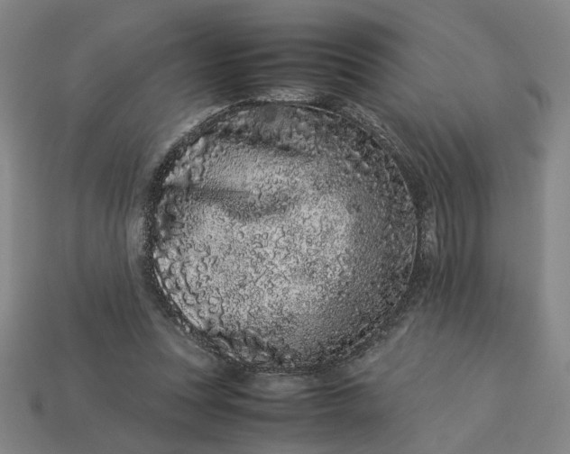 X0000113240351200910011330