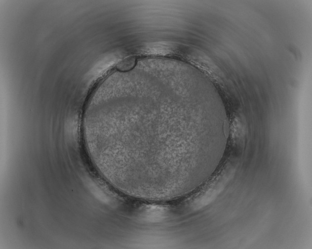 X0000113240352200910011330