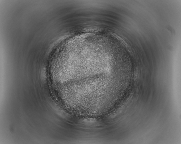 X0000113240353200910011330