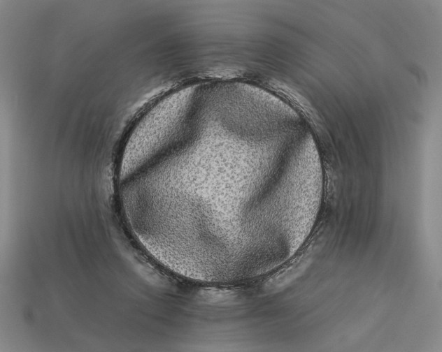 X0000113240354200910011330