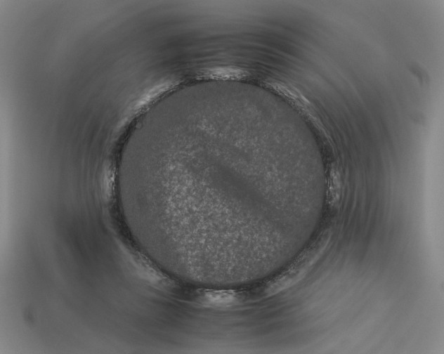 X0000113240355200910011330