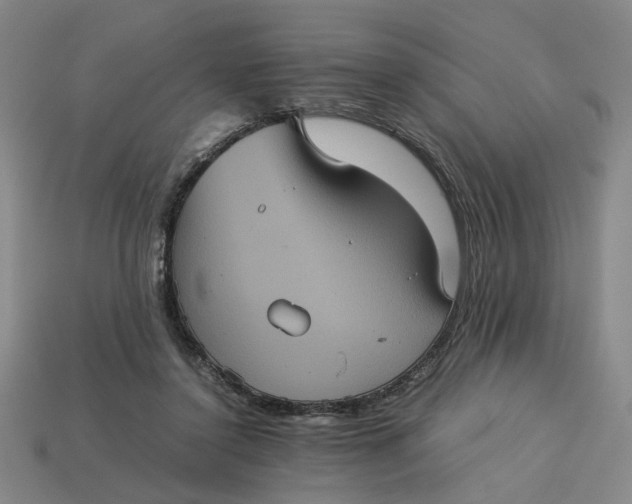 X0000113240356200910011331