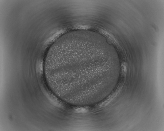 X0000113240358200910011331