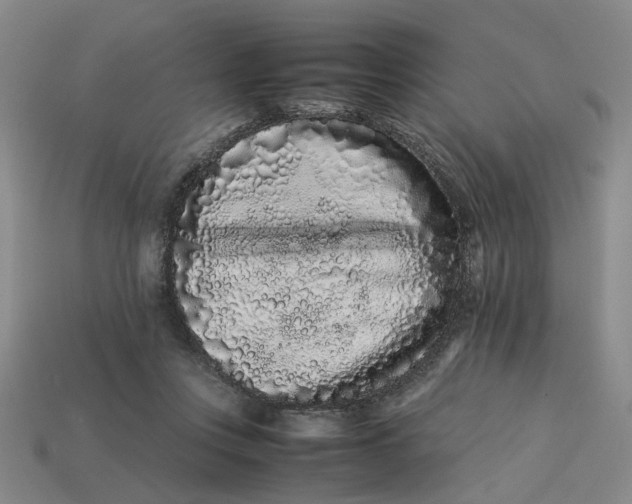 X0000113240359200910011331