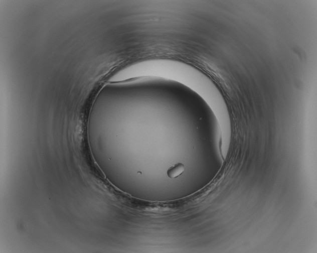 X0000113240362200910011331