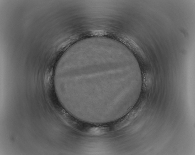 X0000113240364200910011331