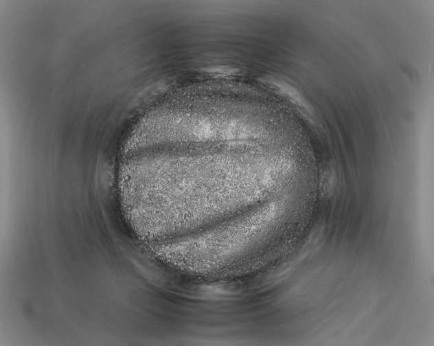 X0000113240365200910011331