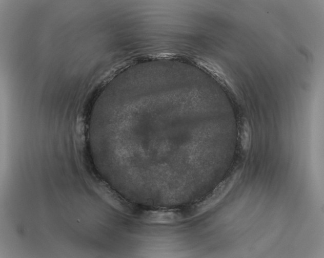 X0000113240366200910011331