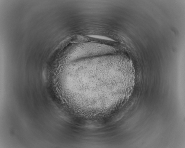 X0000113240367200910011331