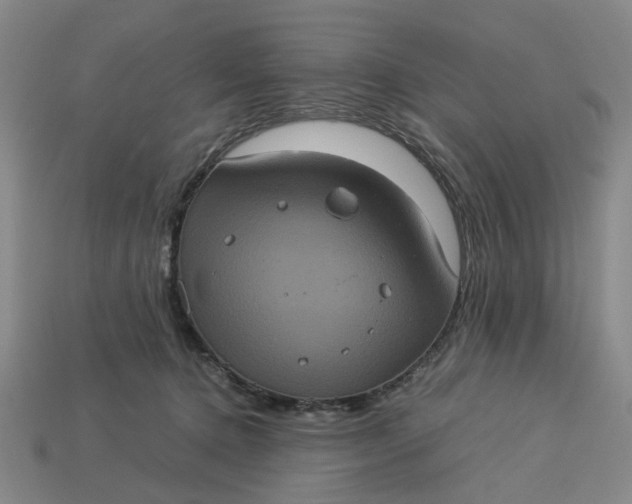 X0000113240368200910011331