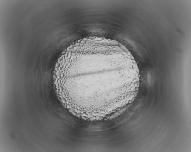 X0000113240369200910011331