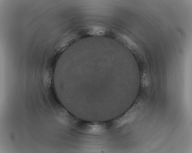 X0000113240370200910011331