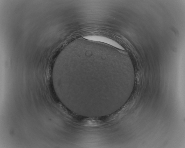 X0000113240372200910011331