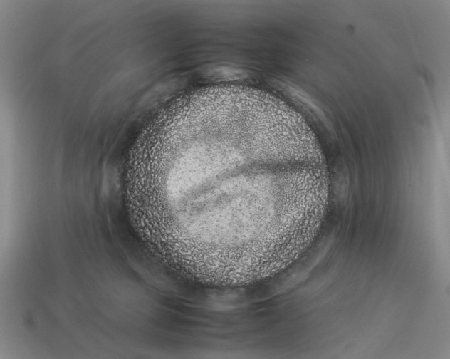 X0000113240373200910011331