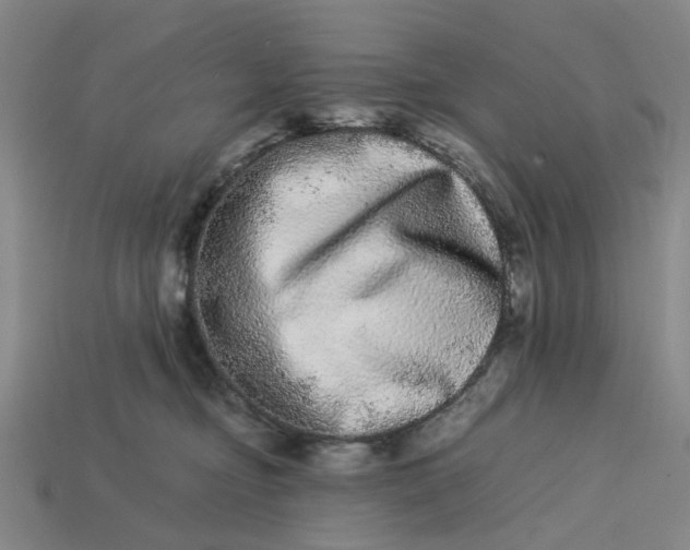 X0000113240374200910011331