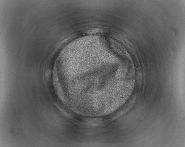 X0000113240375200910011331