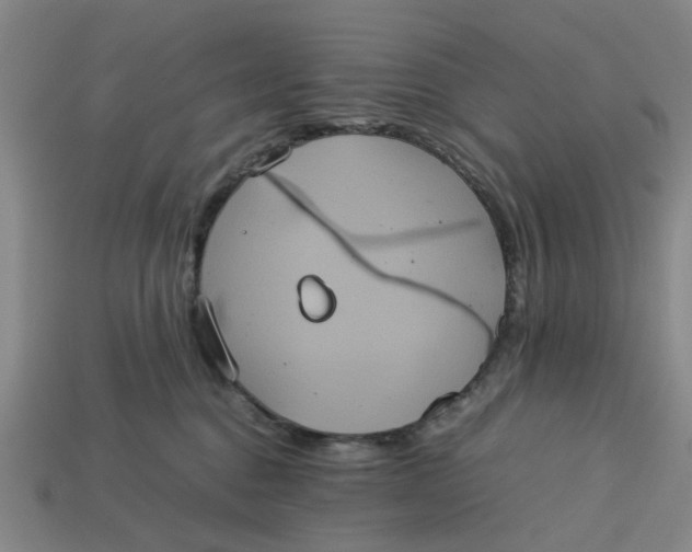 X0000113240376200910011331