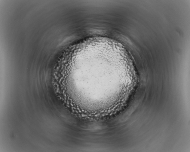 X0000113240377200910011331