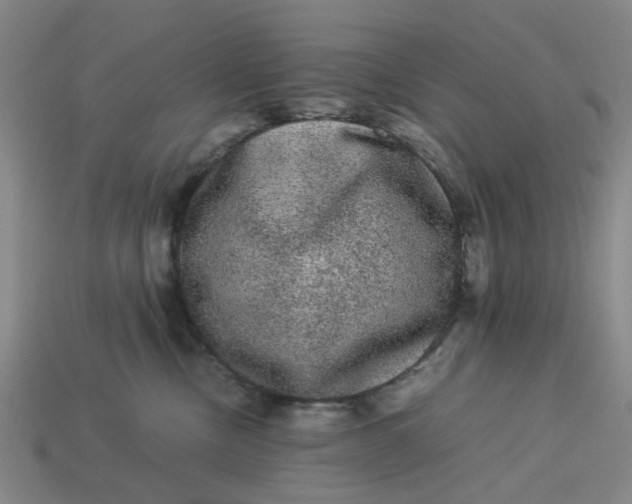 X0000113240378200910011331