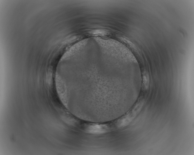 X0000113240379200910011331