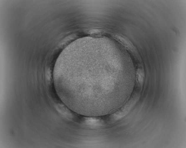 X0000113240380200910011331