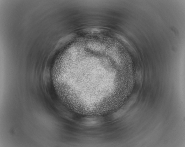 X0000113240381200910011331