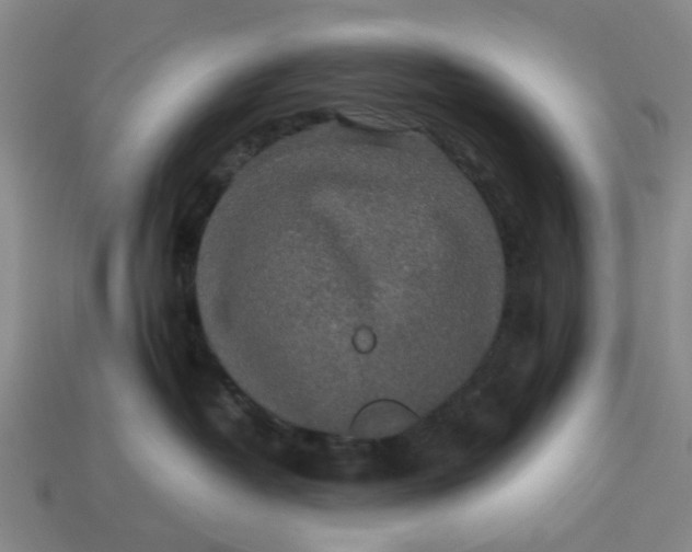 X0000113240382200910011331