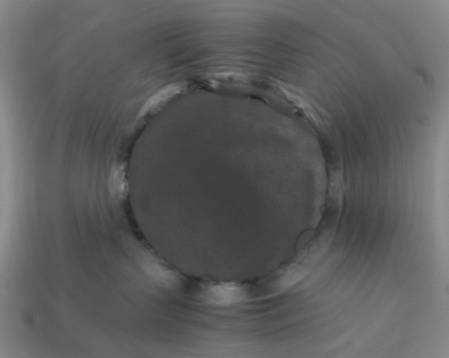 X0000113240383200910011331