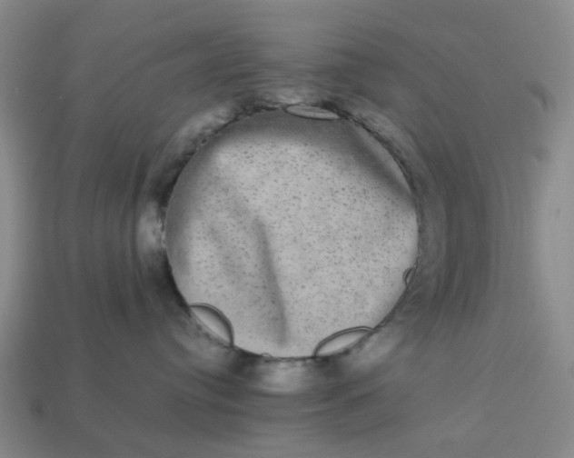 X0000113240384200910011331