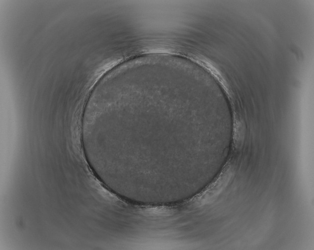 X0000113240385200910011330