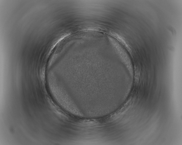 X0000113240386200910011330