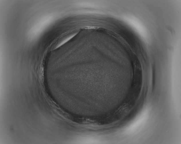 X0000113240387200910011330