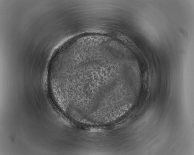 X0000113240388200910011330